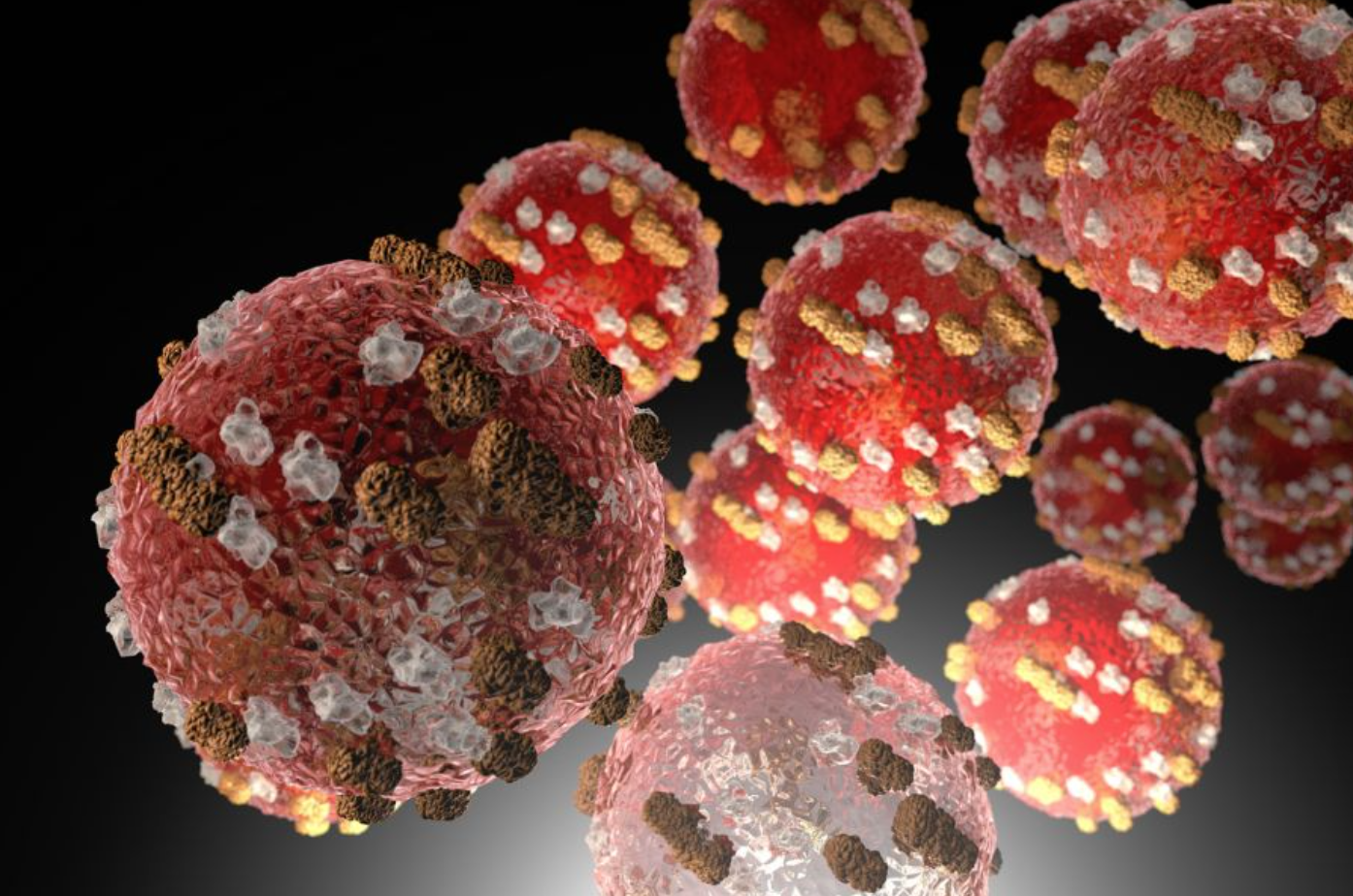 an illustration of several spiked balls that represent the measles virus